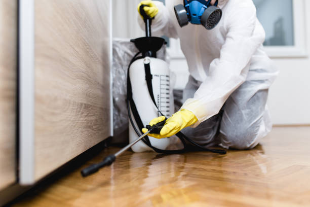 Best Termite Control Services  in Westminster, CO