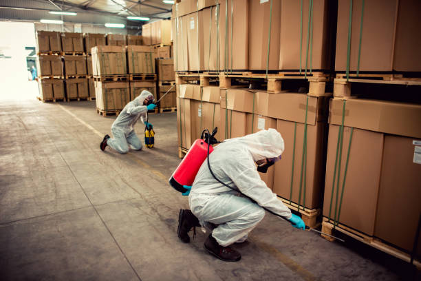 Best Emergency Pest Control  in Westminster, CO