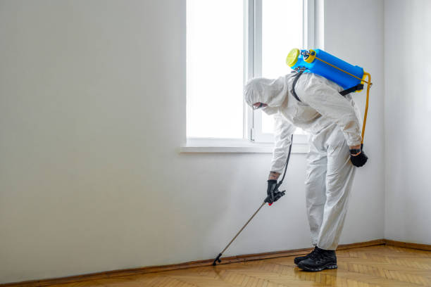 Best Mosquito Control Services  in Westminster, CO