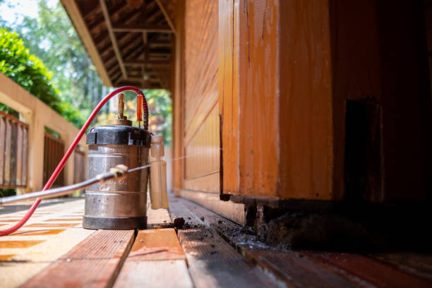 Best Cockroach Control Services  in Westminster, CO