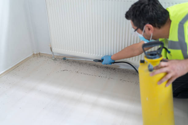 Best Pest Inspection Near Me  in Westminster, CO