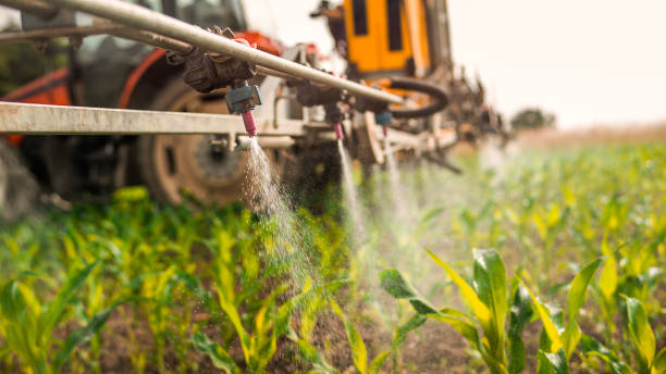 Pest Control Cost in Westminster, CO