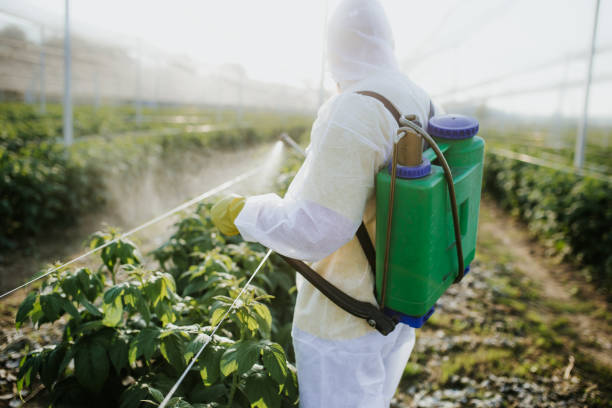  Westminster, CO Pest Control Pros